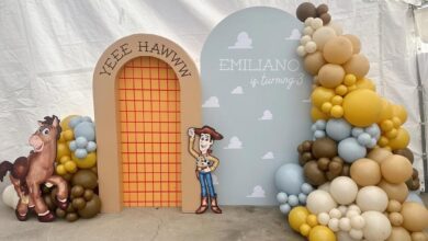 02 toy story backdrop ideas