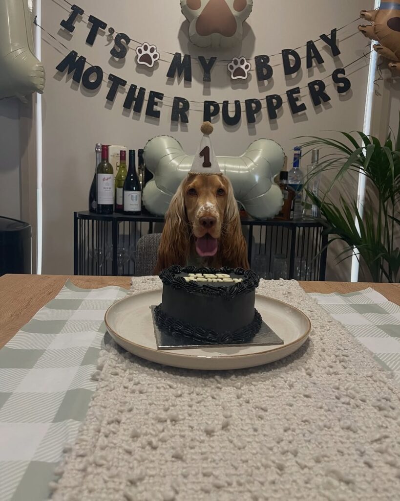 02 dog themed birthday party ideas