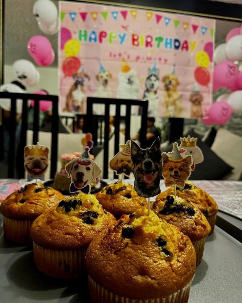 03 dog themed birthday party ideas