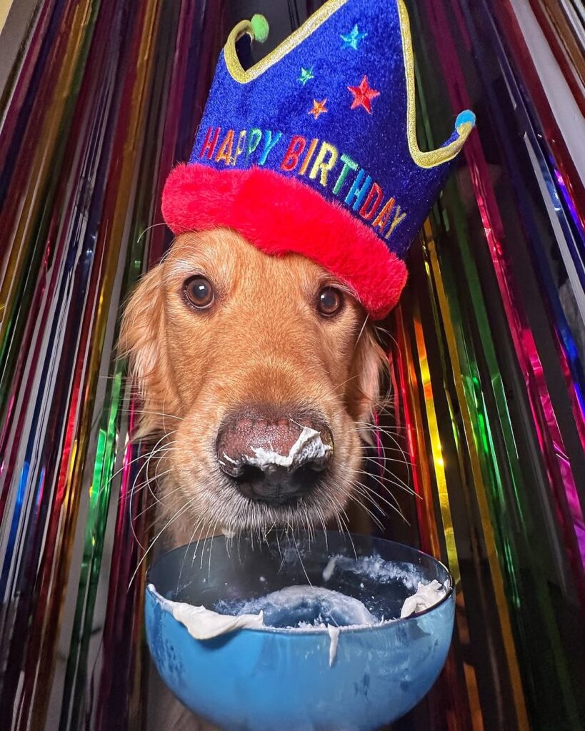 06 dog themed birthday party ideas