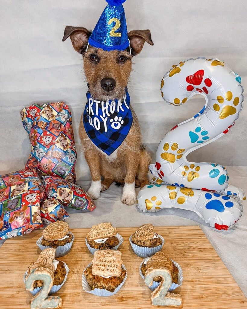 08 dog themed birthday party ideas