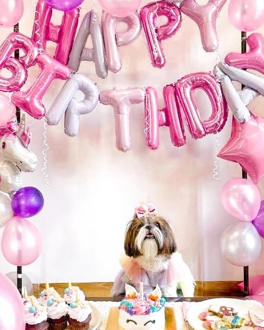 22 dog themed birthday party ideas